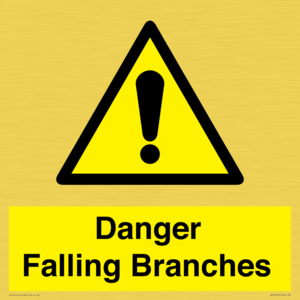 Danger Falling Branches